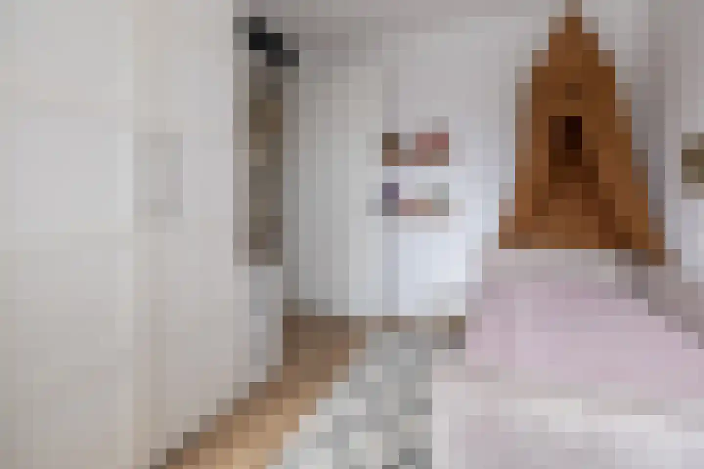 Tijsselinglaan 72 Barneveld thumbnail 22