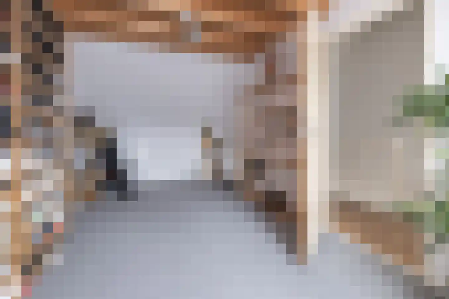 Tijsselinglaan 72 Barneveld thumbnail 29