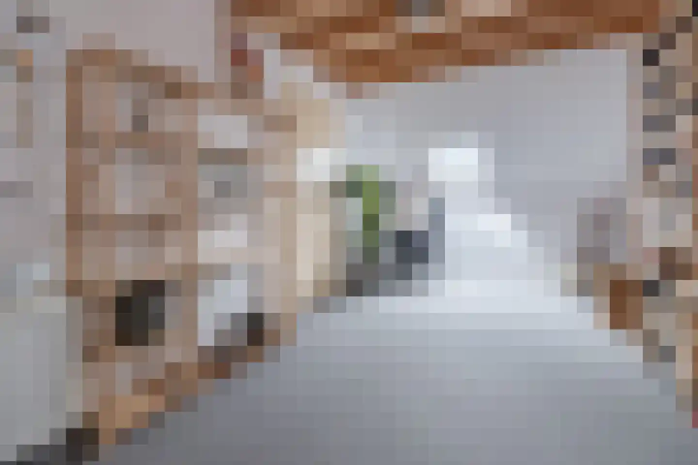 Tijsselinglaan 72 Barneveld thumbnail 30