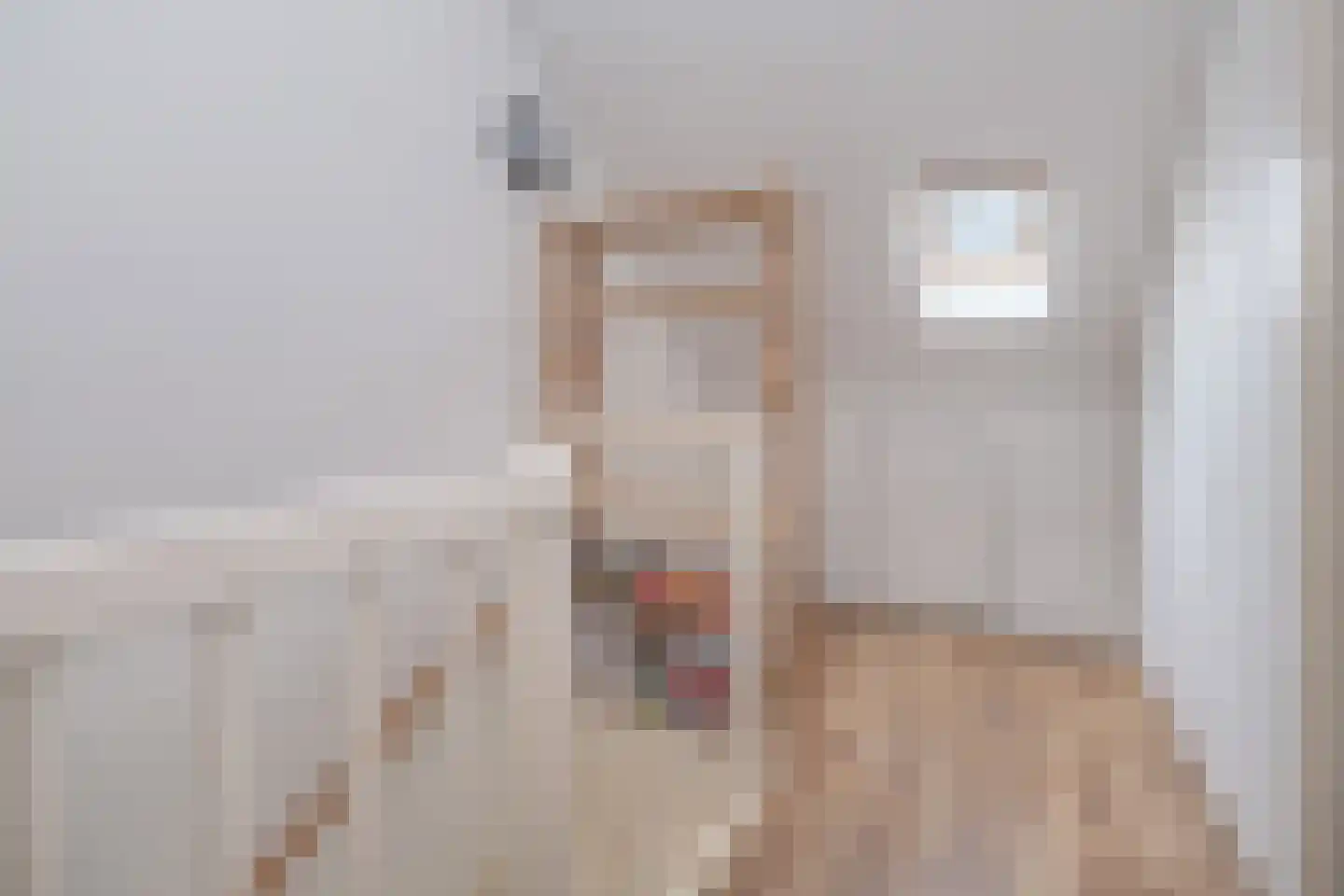 Tijsselinglaan 72 Barneveld thumbnail 32
