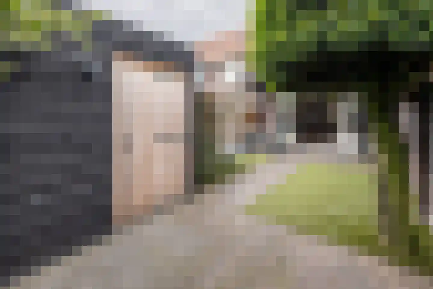 Tijsselinglaan 72 Barneveld thumbnail 41