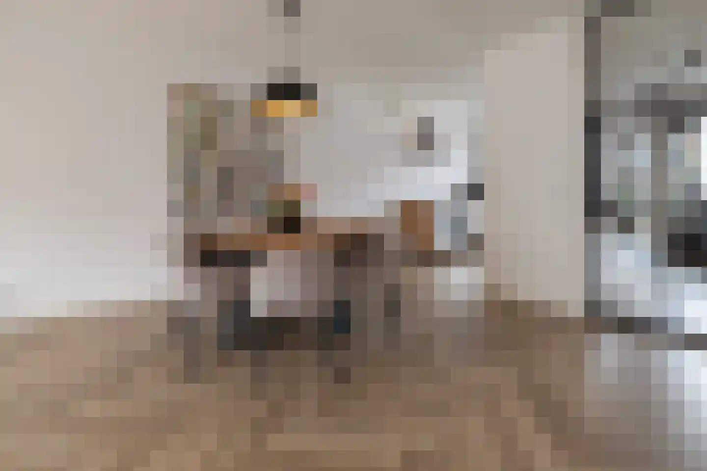 Tijsselinglaan 72 Barneveld thumbnail 7