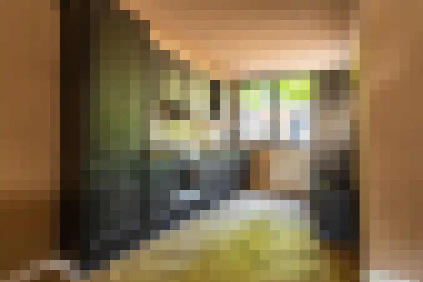 Tijsweer 21 Scheemda thumbnail 13