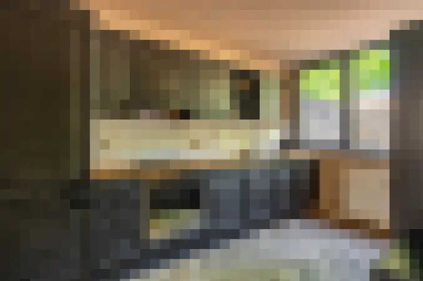 Tijsweer 21 Scheemda thumbnail 14