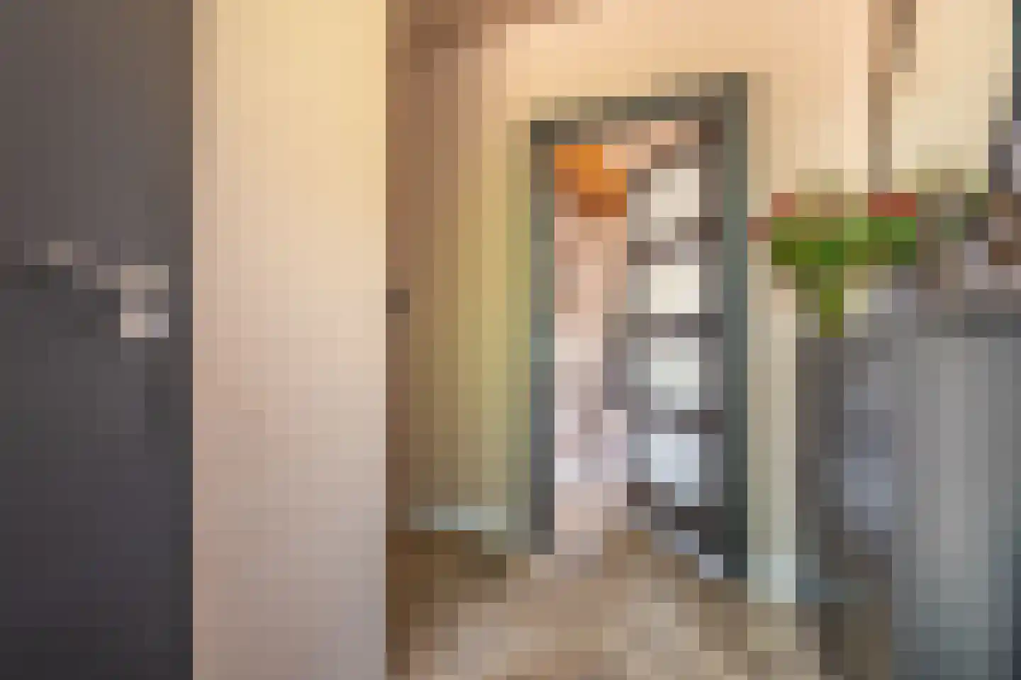 Tijsweer 21 Scheemda thumbnail 6