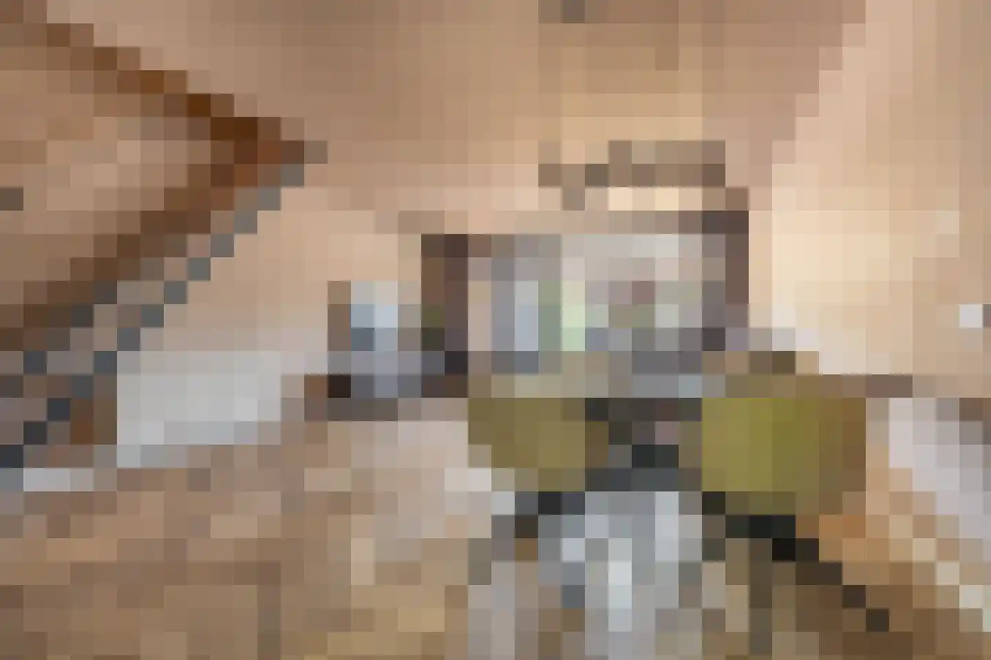 Tijsweer 21 Scheemda thumbnail 9