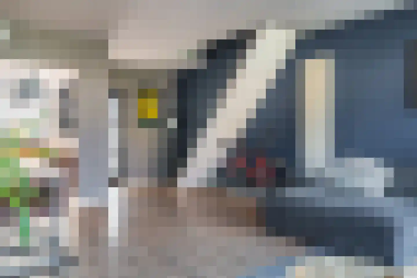 Tijsweer 3 Scheemda thumbnail 15