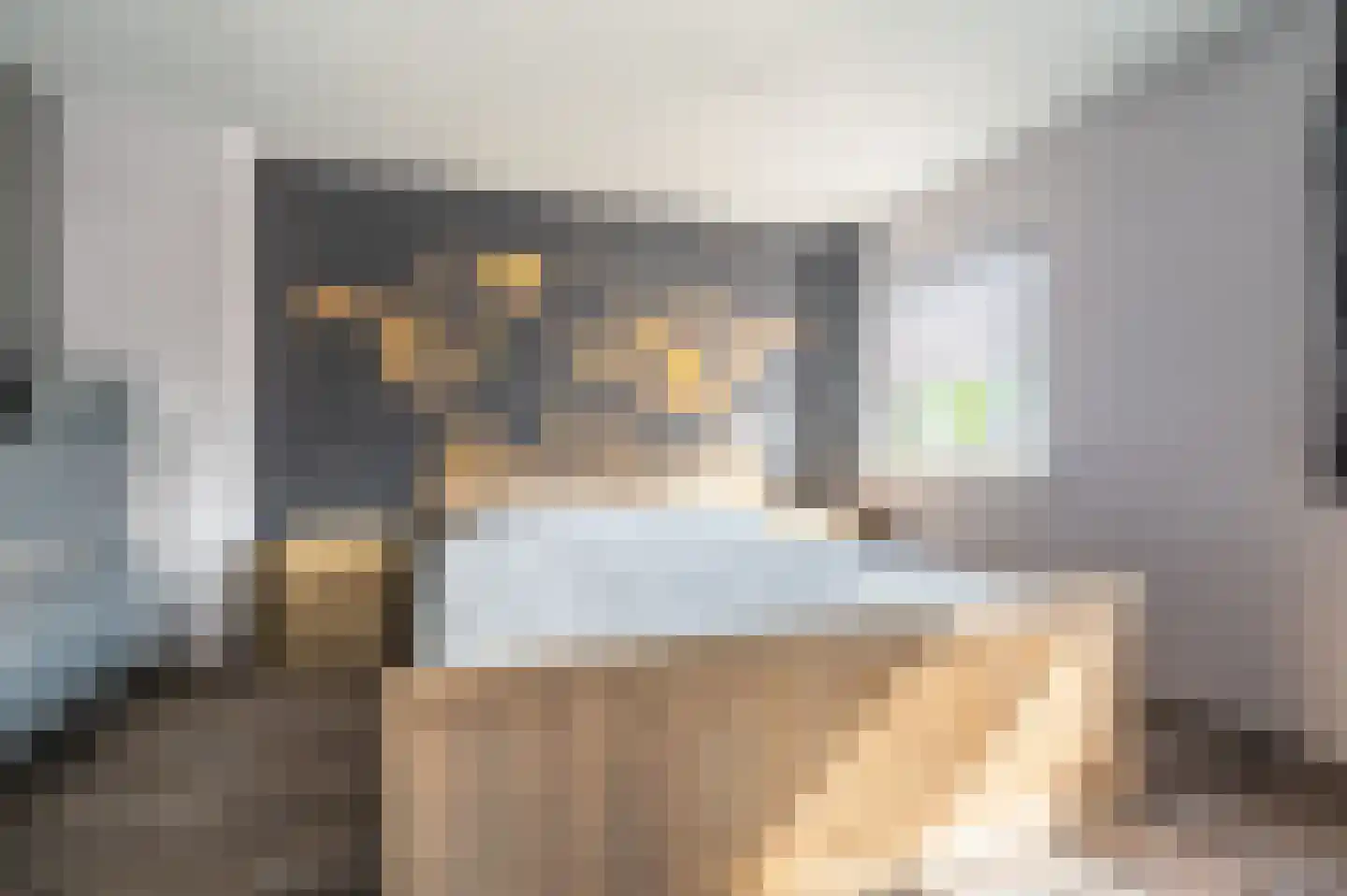 Tijsweer 3 Scheemda thumbnail 17