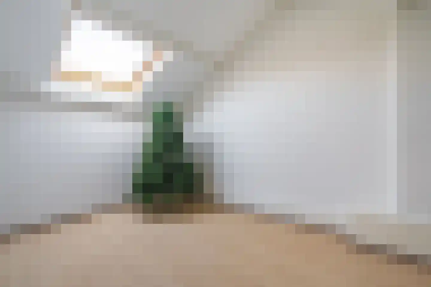 Tijsweer 3 Scheemda thumbnail 32