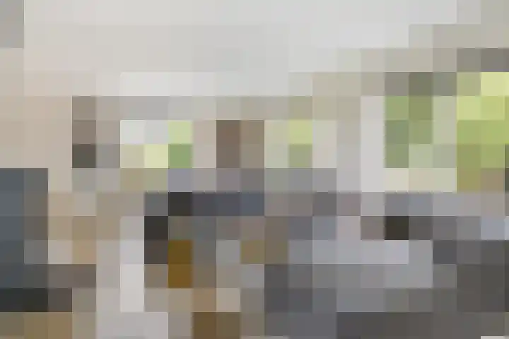 Tijsweg 1 Heeten thumbnail 13