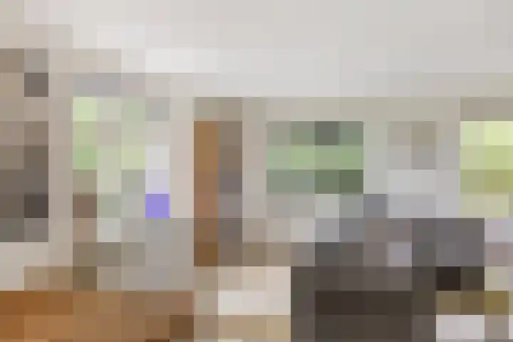 Tijsweg 1 Heeten thumbnail 16