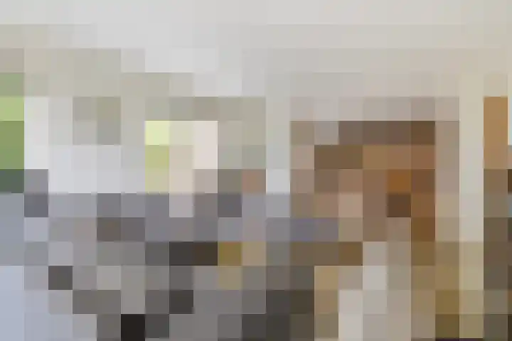 Tijsweg 1 Heeten thumbnail 17