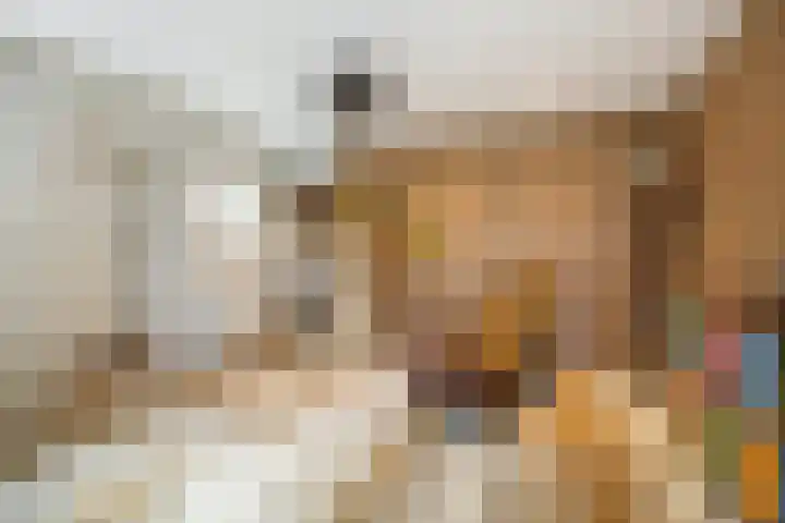 Tijsweg 1 Heeten thumbnail 19