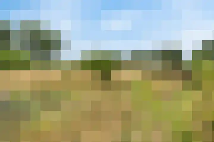 Tijsweg 1 Heeten foto 2
