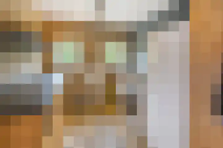 Tijsweg 1 Heeten thumbnail 24