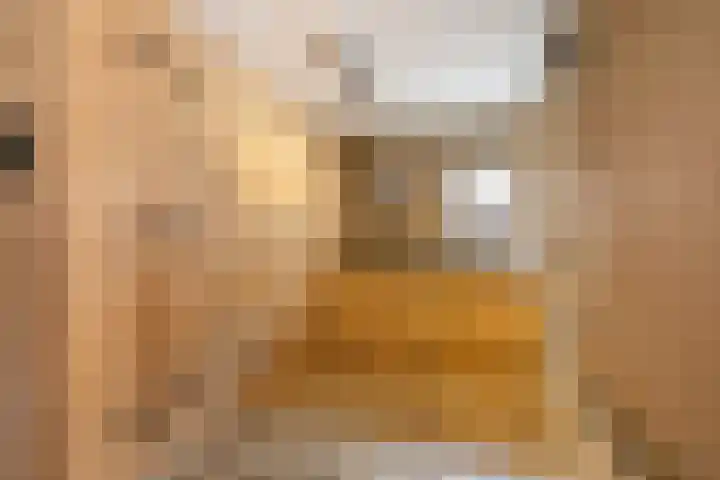 Tijsweg 1 Heeten thumbnail 25