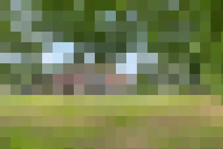 Tijsweg 1 Heeten foto 3