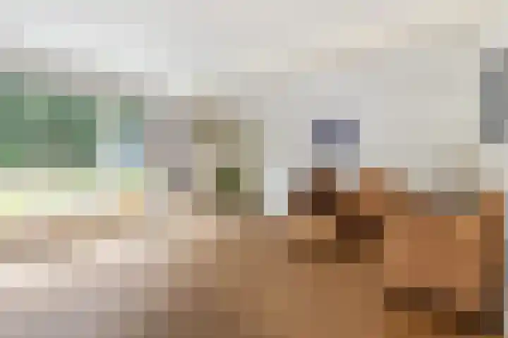 Tijsweg 1 Heeten thumbnail 38