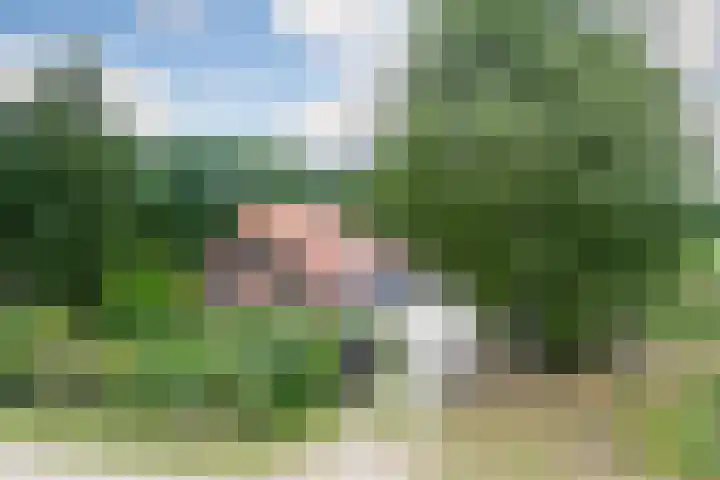 Tijsweg 1 Heeten thumbnail 4