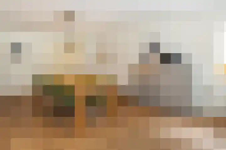 Tijsweg 1 Heeten thumbnail 40