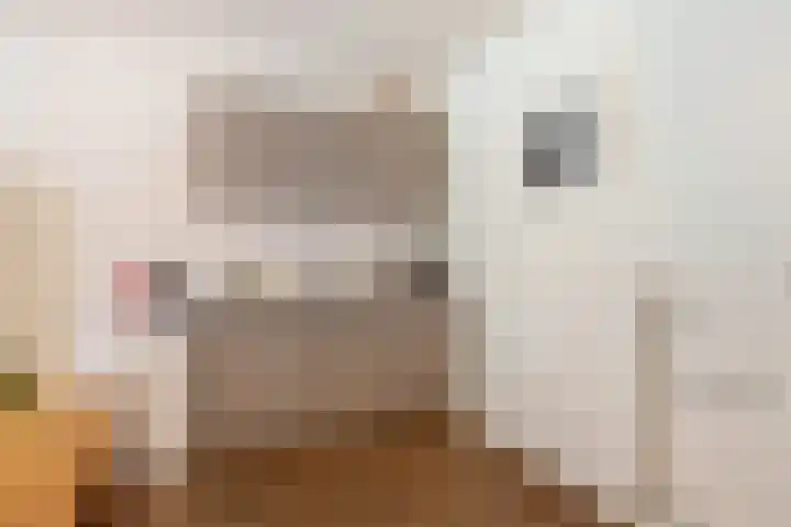Tijsweg 1 Heeten thumbnail 41