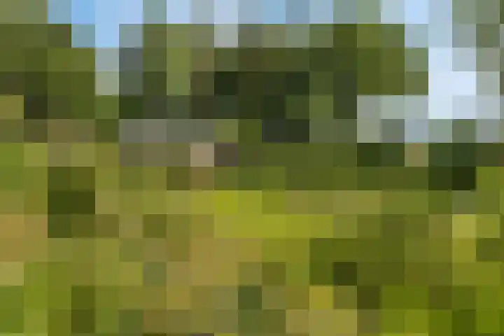 Tijsweg 1 Heeten thumbnail 48