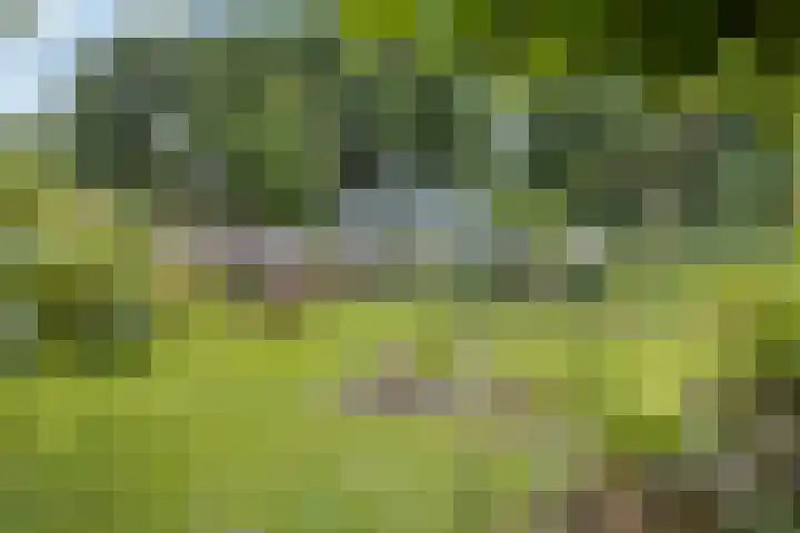 Tijsweg 1 Heeten thumbnail 49