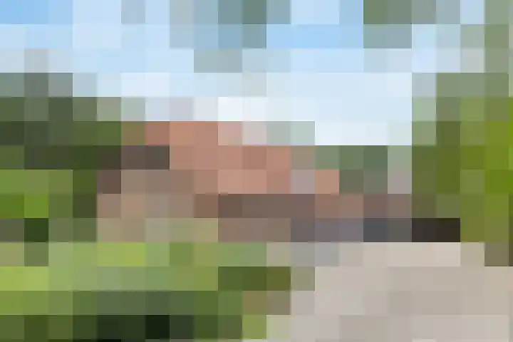 Tijsweg 1 Heeten thumbnail 5