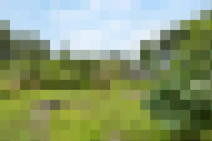 Tijsweg 1 Heeten thumbnail 50