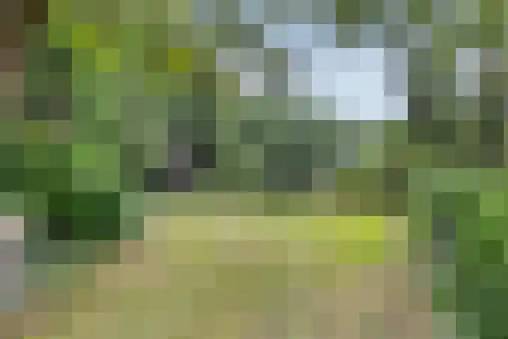 Tijsweg 1 Heeten thumbnail 51