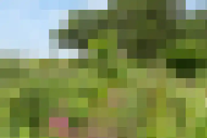 Tijsweg 1 Heeten thumbnail 52
