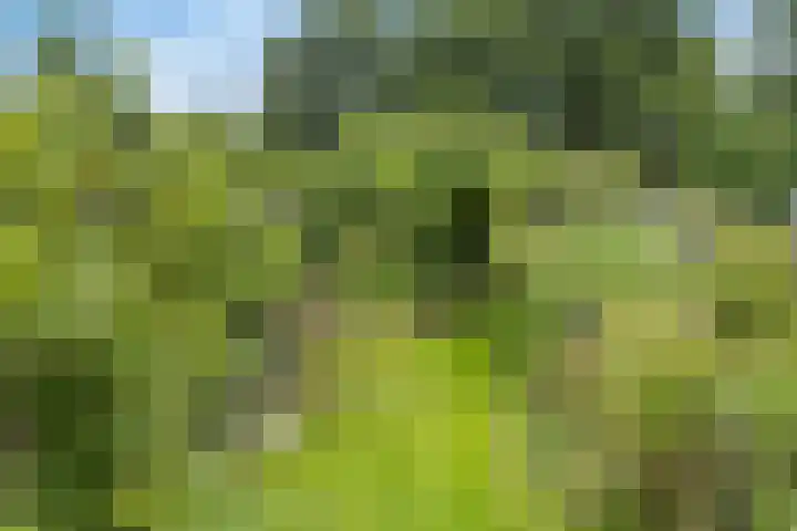 Tijsweg 1 Heeten thumbnail 53