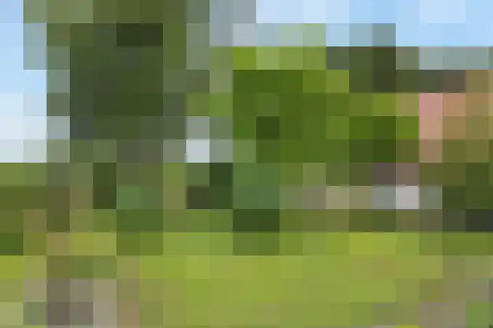 Tijsweg 1 Heeten thumbnail 54