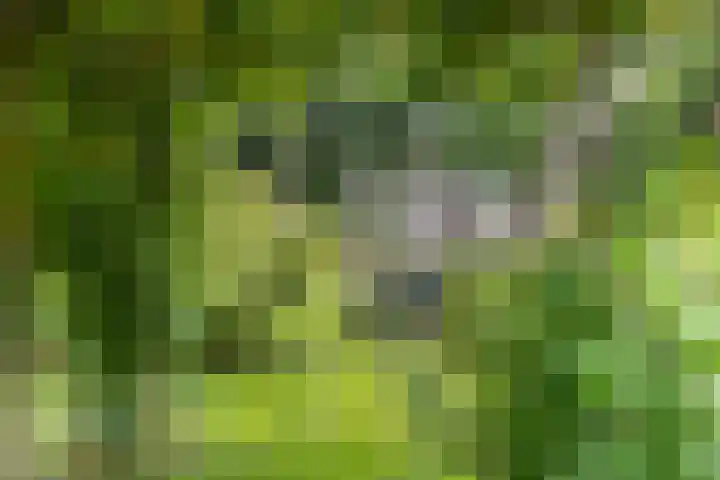 Tijsweg 1 Heeten thumbnail 55