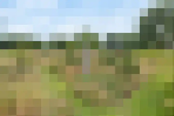 Tijsweg 1 Heeten thumbnail 56
