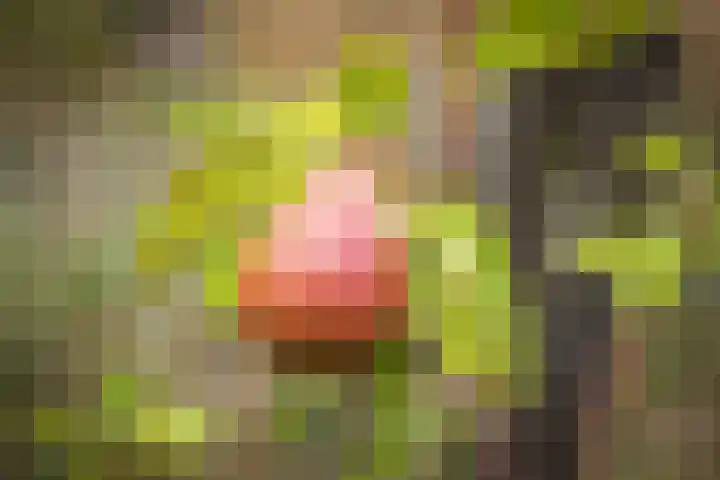 Tijsweg 1 Heeten thumbnail 57