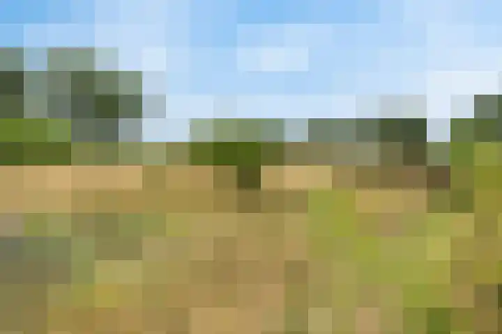 Tijsweg 1 Heeten thumbnail 58