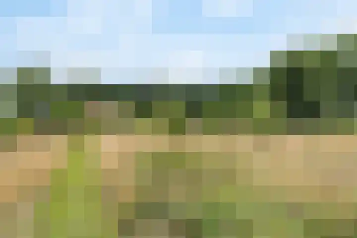 Tijsweg 1 Heeten thumbnail 59