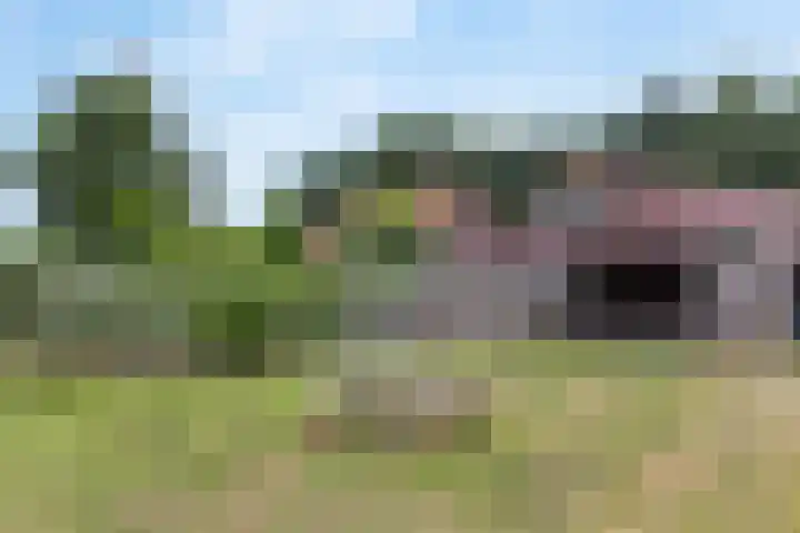 Tijsweg 1 Heeten thumbnail 60