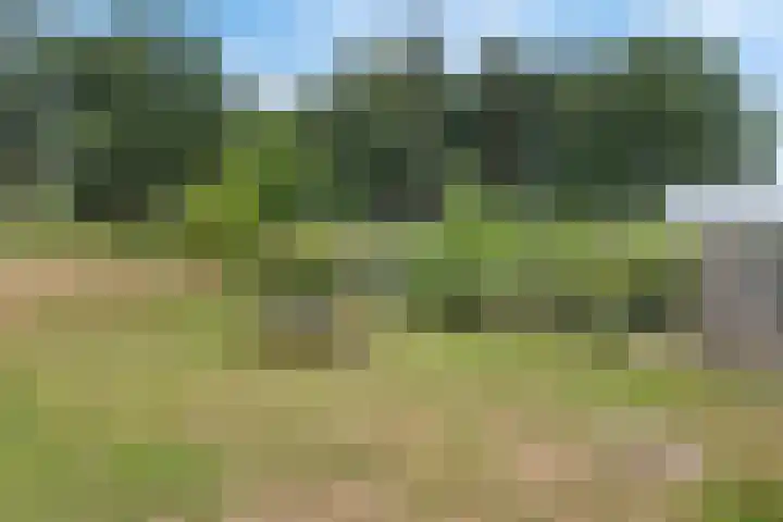 Tijsweg 1 Heeten thumbnail 61