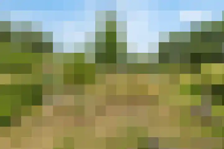 Tijsweg 1 Heeten thumbnail 62