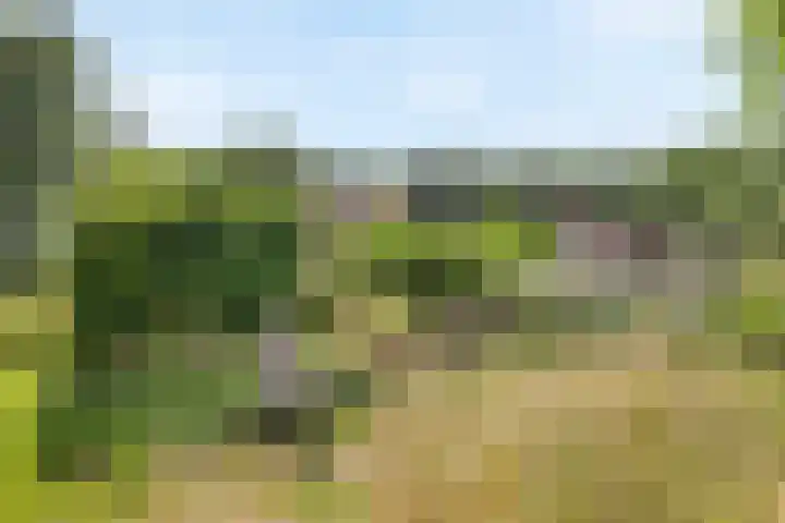 Tijsweg 1 Heeten thumbnail 63