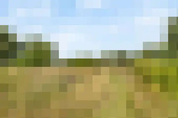 Tijsweg 1 Heeten thumbnail 64