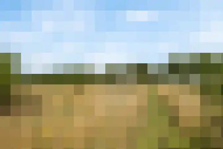 Tijsweg 1 Heeten thumbnail 65