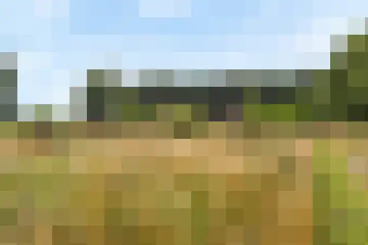 Tijsweg 1 Heeten thumbnail 66