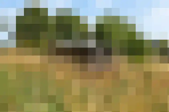 Tijsweg 1 Heeten thumbnail 67