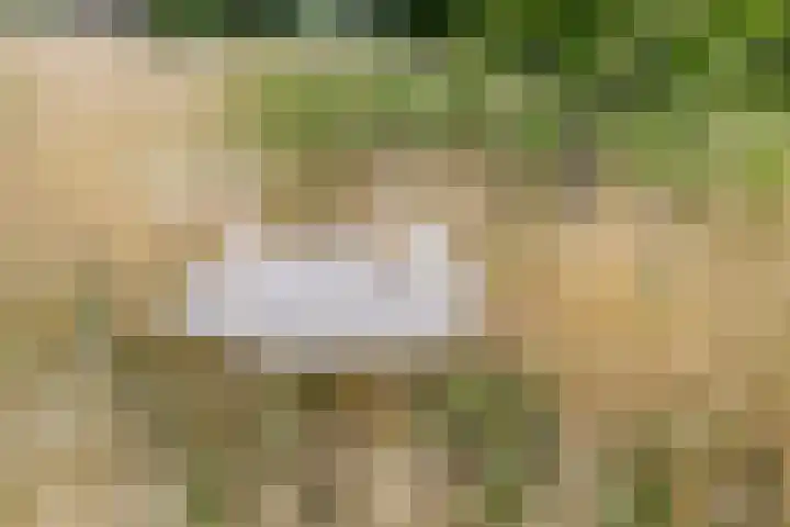Tijsweg 1 Heeten thumbnail 68
