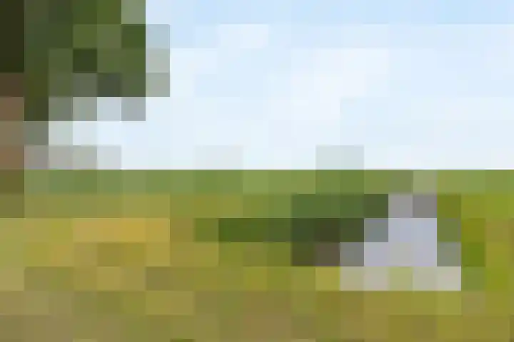 Tijsweg 1 Heeten thumbnail 69