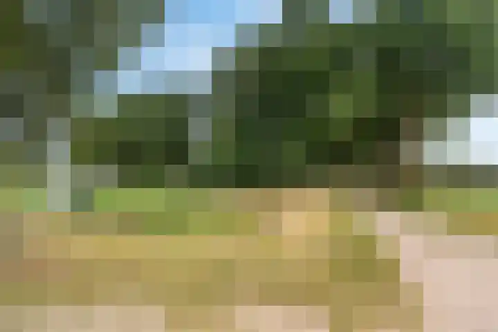 Tijsweg 1 Heeten thumbnail 70