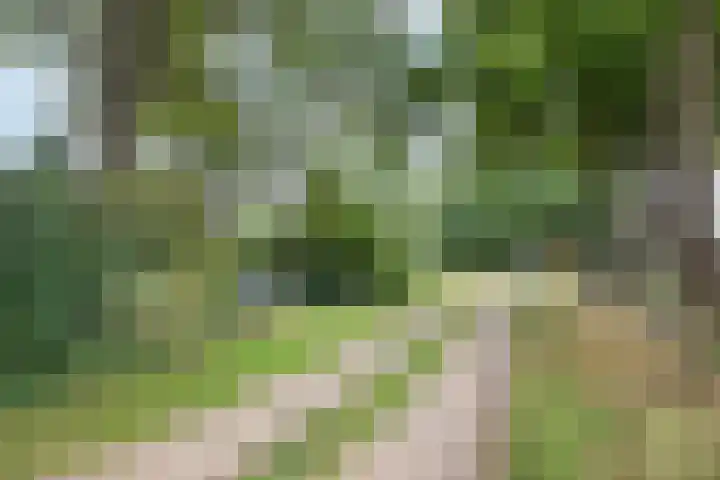 Tijsweg 1 Heeten thumbnail 71